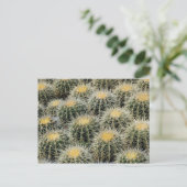 ゴールデンバレルの子供部屋。 ポストカード (スタンド正面)