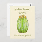 ゴールデンバレルサボテンのポストカード ポストカード (正面/裏面)