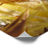 ゴールデンバレルサボテンの花、プリント ポスター (角)