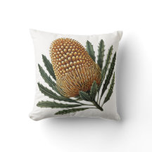 ゴールデンバンクシアボタニカルオーストラリア先住民花