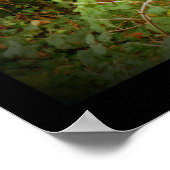 ゴールデンパスポスターのキツネ~ファンタジー ポスター (角)