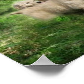 ゴールデンパピーズのポスター ポスター (角)