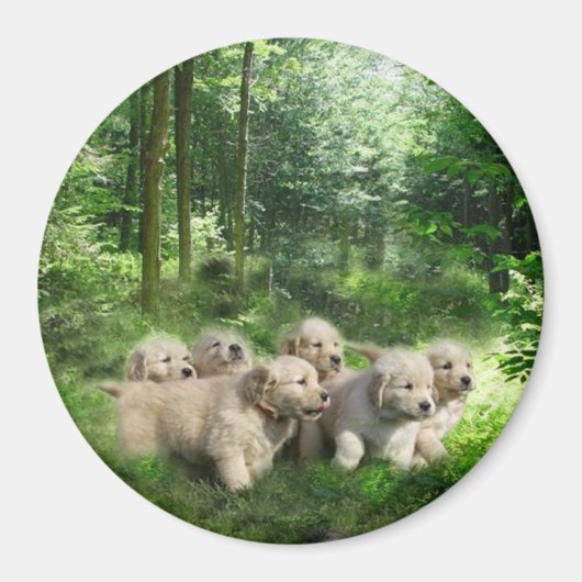 ゴールデンパピーズ磁石 マグネット (正面)