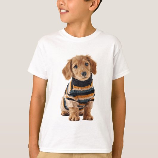 ゴールデンパピー ストライプセーター キッズ Tシャツ (正面)
