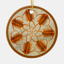 ゴールデンパラセラウルス化石トリロバイト車輪