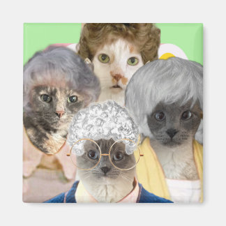 ゴールデンパーズ マグネット