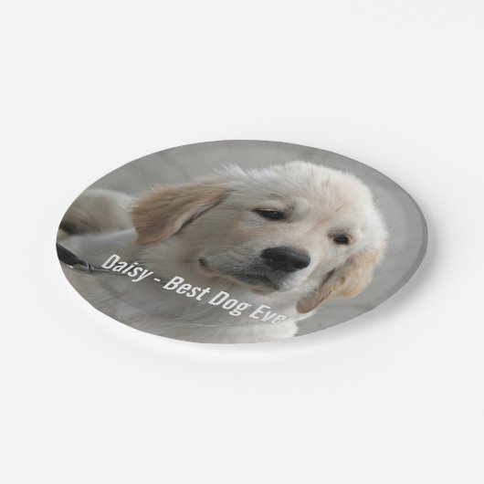 ゴールデンパーソナライズされたリトリーバードッグの写真と名前 ペーパープレート (アングル)