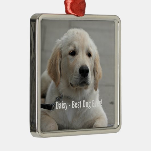 ゴールデンパーソナライズされたリトリーバードッグの写真と名前 メタルオーナメント (右)