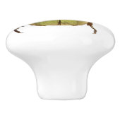 ゴールデンビートルセラミックノブ セラミックノブ (側面)