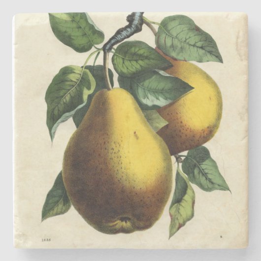 ゴールデンピアーズスクエア ストーンコースター (正面)