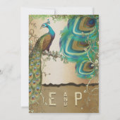 ゴールデンピーコックの羽根 招待状 (裏面)