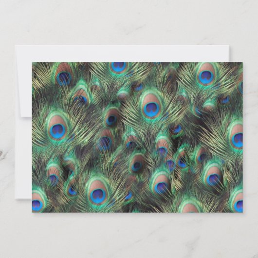 ゴールデンピーコックフィアー写真 Save the Date セーブザデート (裏面)