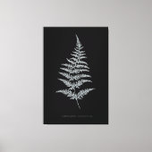 ゴールデンファーンの葉、Gymnogramma chrysophylla キャンバスプリント (正面)