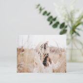 ゴールデンフィールドブルックリン植物園写真 ポストカード (スタンド正面)