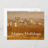 ゴールデンフィールド上のクレーン、ハッピーホリデー シーズンポストカード (正面/裏面)