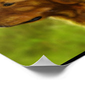 ゴールデンフィールド ポスター (角)