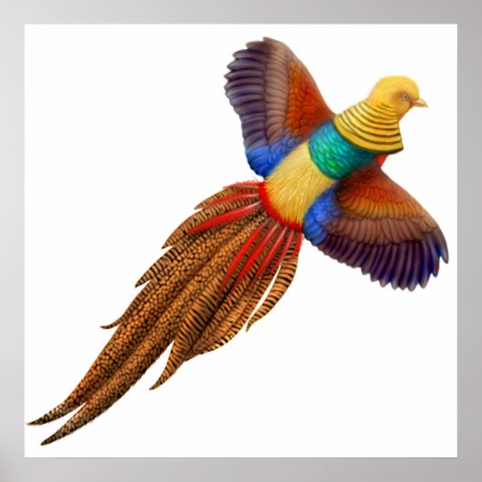 ゴールデンフェアサンプリント ポスター (正面)