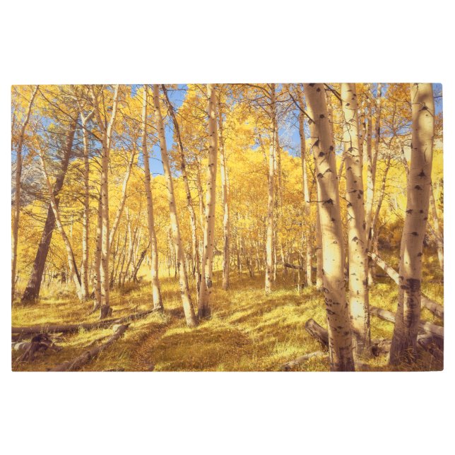 ゴールデンフォレスト メタルプリント (正面)