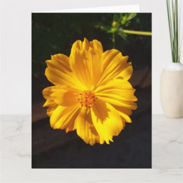 ゴールデンフラワーマクロ写真 カード