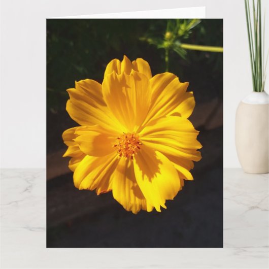 ゴールデンフラワーマクロ写真 カード (正面)