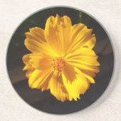 ゴールデンフラワーマクロ写真 コースター (正面)