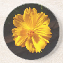 ゴールデンフラワーマクロ写真