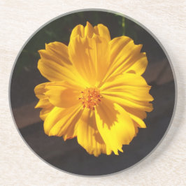 ゴールデンフラワーマクロ写真 コースター