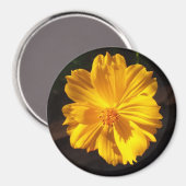 ゴールデンフラワーマクロ写真 マグネット (正面/裏面)
