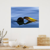 ゴールデンフロントズ – ポスター (キッチン)