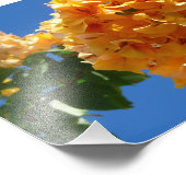 ゴールデンブーゲンビリアフローラ団 フォトプリント (角)