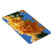 ゴールデンブーゲンビリアフローラ団 マグネット (右側)