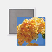 ゴールデンブーゲンビリアフローラ団 マグネット (正面/裏面)