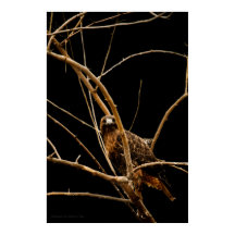 ゴールデンプリント