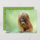 ゴールデンヘッドヤングスター ポストカード (正面/裏面)