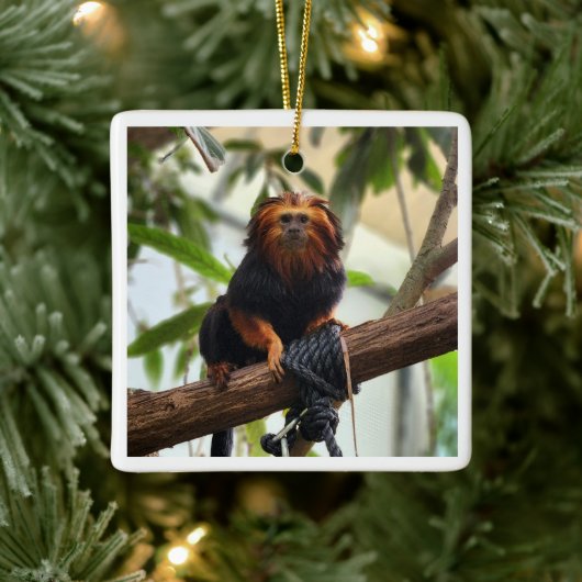 ゴールデンヘッドライオンタマリンIII セラミックオーナメント (ツリー)