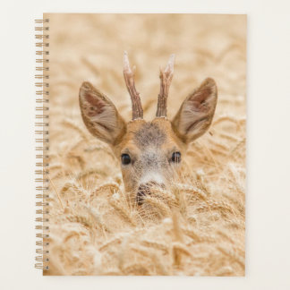 ゴールデンホイートウィルドランドのノロジカ プランナー手帳