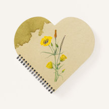 ゴールデンボウルマリポサフラワー