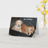 ゴールデンボンボヤージュ カード (黄色い花)