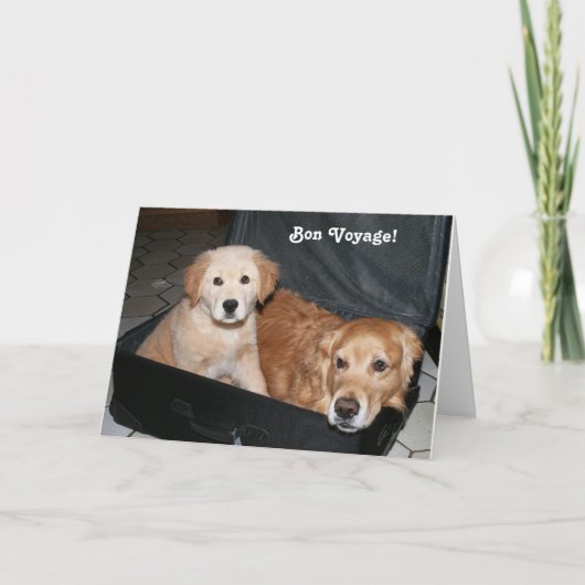 ゴールデンボンボヤージュ カード (正面)