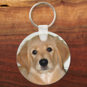 ゴールデンボーイ キーホルダー (正面)