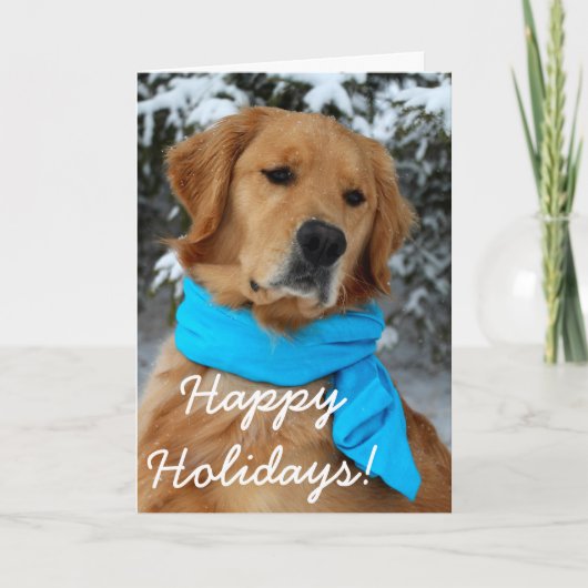 ゴールデンボーイ シーズンカード (正面)