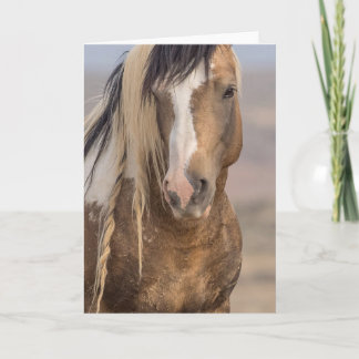 "ゴールデンボーイ"ノートカード カード