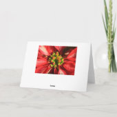 ゴールデンポインセティアス シーズンカード (裏面)