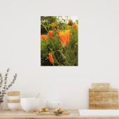 ゴールデンポピー ポスター (キッチン)