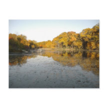 ゴールデンポンドピオリア チャーターオークパーク ノースレイク