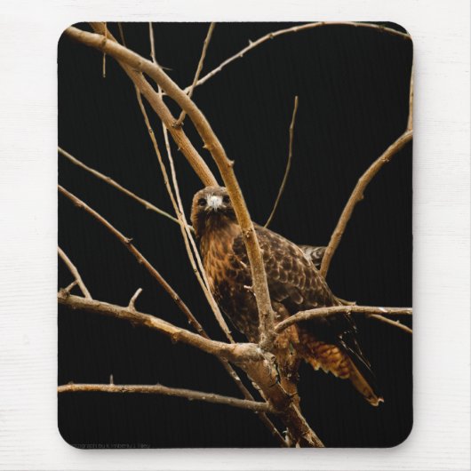 ゴールデンマウスパッド マウスパッド (正面)