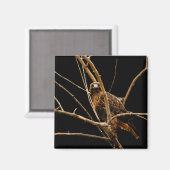 ゴールデンマグネット マグネット (正面/裏面)