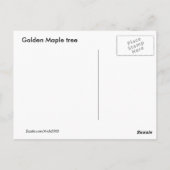 ゴールデンマップル~ポストカード ポストカード (裏面)