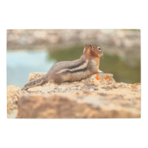 ゴールデンマントルリス