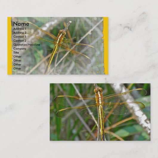 ゴールデンメドウォークドラゴンフライ 名刺 (正面/裏面)